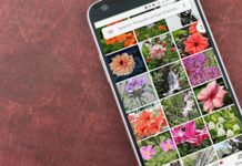 Jak zálohovat fotky Google